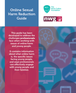 Online Sexual Harm Reduction Guide (Professional's Guide)